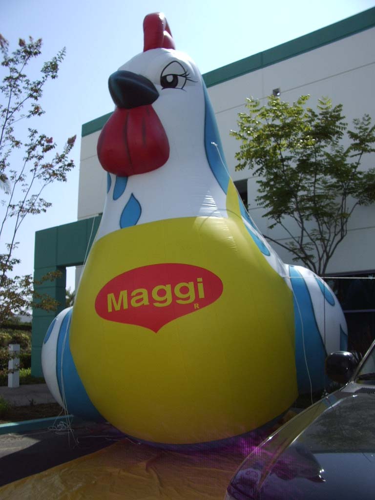 25 ft Maggi Chicken